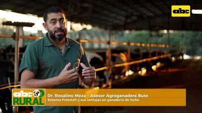 ABC Rural: Freestall para vacas lecheras y sus ventajas - ABC Rural - ABC Color