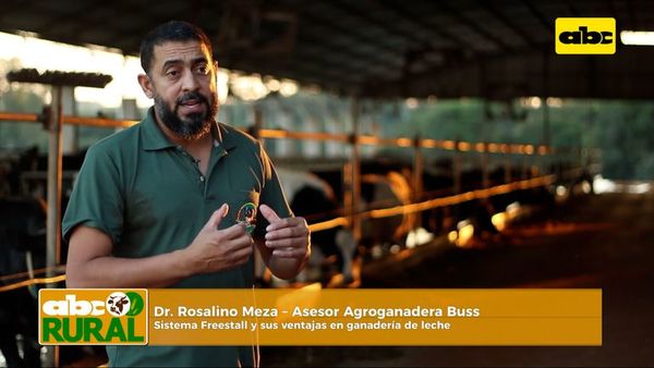 ABC Rural: Freestall para vacas lecheras y sus ventajas - ABC Rural - ABC Color