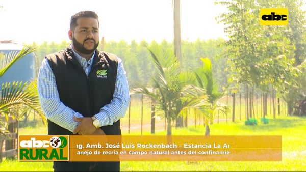 ABC Rural: Lograr buen peso de recría en campos naturales apuntando al confinamiento - ABC Rural - ABC Color