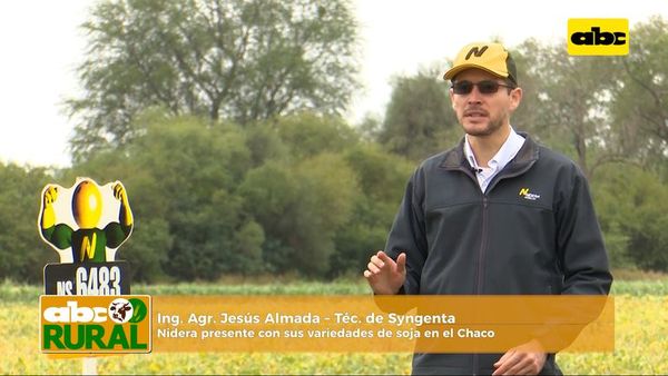 ABC Rural: Syngenta y Nidera mostraron sus variedades de soja en el Chaco - ABC Rural - ABC Color
