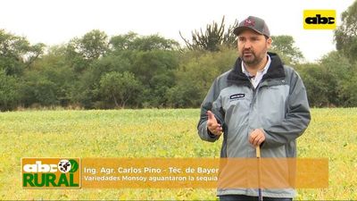 ABC Rural: Bayer y Monsoy, en jornada de campo en el Chaco - ABC Rural - ABC Color