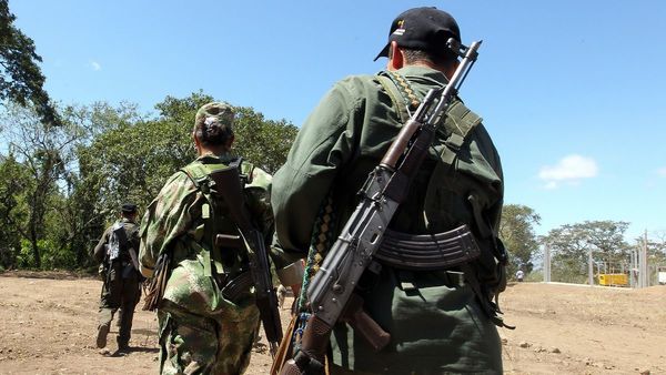 Tregua entre militares de Venezuela y grupo de FARC