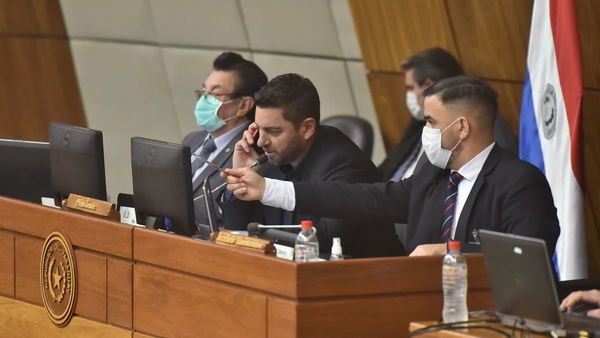 Diputados trata hoy proyectos atrasados