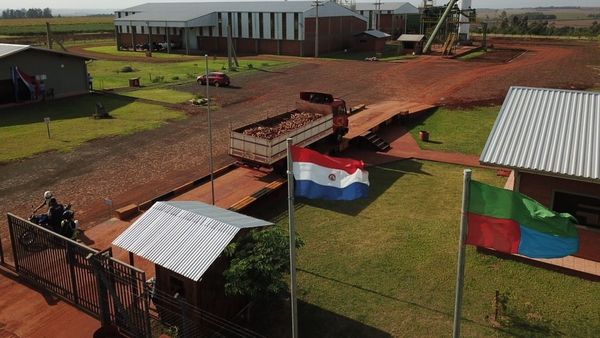 La fábrica de almidón de Bella Vista necesita mandioca