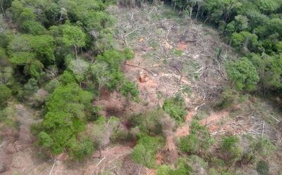 Abdo promulga la expropiación de la reserva natural Campos Morombi - Nacionales - ABC Color