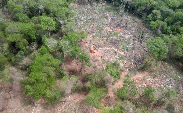 Abdo promulga la expropiación de la reserva natural Campos Morombi - Nacionales - ABC Color