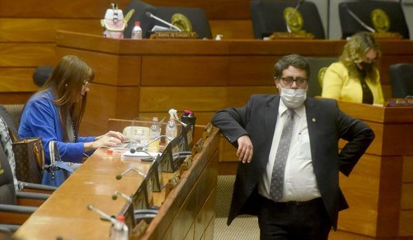 Diputados definen polémica ley que busca estatizar la planta de Acepar - Nacionales - ABC Color