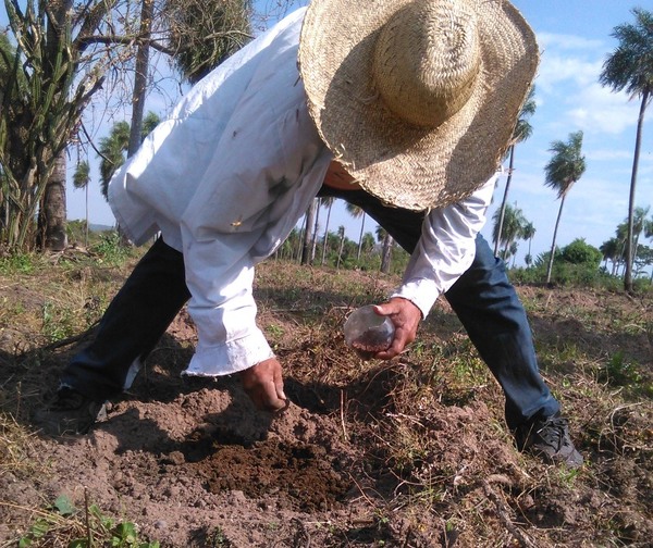 EBY otorgó G. 1.600 millones para ejecutar proyectos productivos en 30 distritos de Itapúa | .::Agencia IP::.