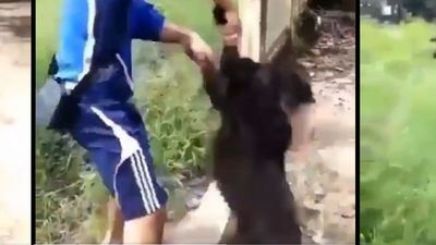 Viral indignante: arrojó a su cachorrito a un baldío