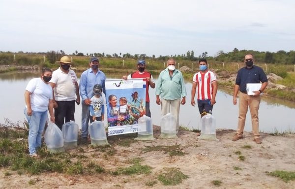 Pobladores de Cordillera apuestan a la tilapia