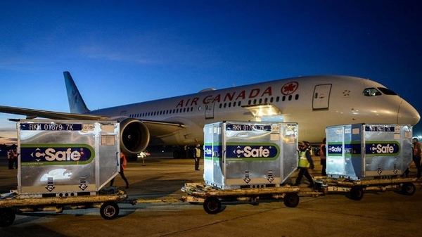 Argentina recibió otras 2,1 millones de dosis y ya suman más de 17,6 millones desde el comienzo de la pandemiaa | .::Agencia IP::.