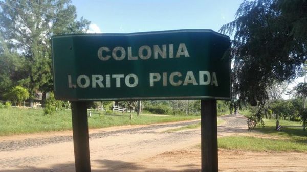 Abigeos faenan animal ovino y golpean a funcionario de estancia
