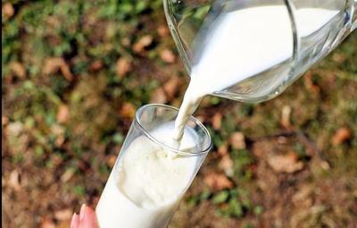 “Día Mundial de la Leche”: su consumo es importante para la salud
