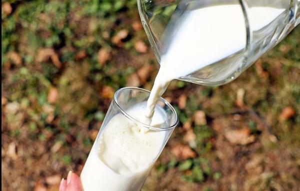“Día Mundial de la Leche”: su consumo es importante para la salud