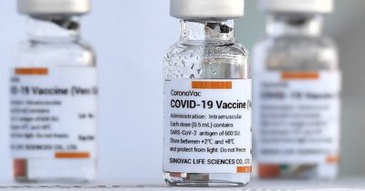 La Nación / OMS aprueba uso de emergencia de la vacuna china Sinovac
