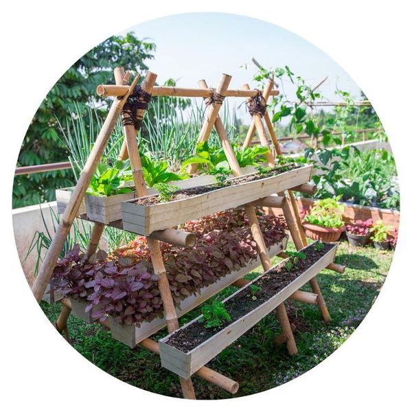 Celebrarán el medio ambiente con talleres de huertas, reciclados y productos de limpieza orgánicos - Nacionales - ABC Color