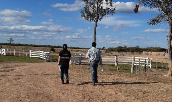 Intervienen establecimientos ganaderos en el Chaco - Nacionales - ABC Color