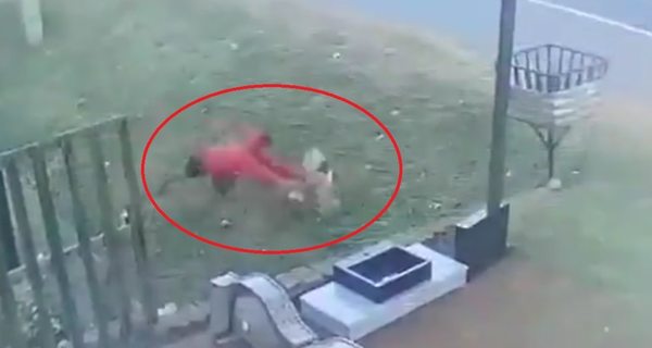 Ni las gallinas se salvan de los delincuentes - Nacionales - ABC Color