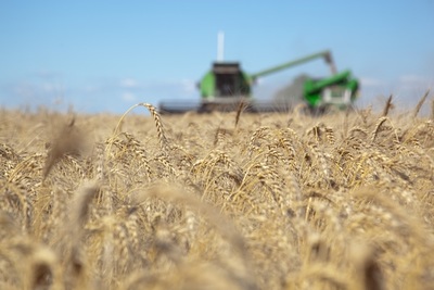 Ingreso de divisas a Argentina por exportación del agro creció 82 % en mayo - MarketData