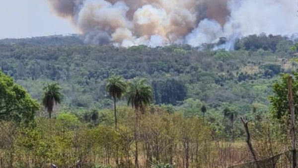 Diputados se ratifica en proyecto de ley de manejo integral del fuego