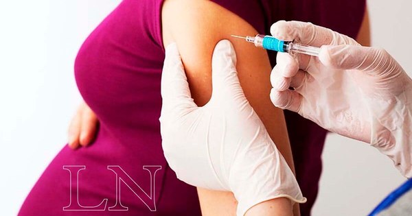 La Nación / Vacuna Moderna aplicarán a las embarazadas, indican