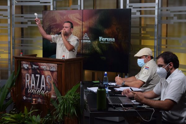 Hoy miércoles, Entre Martillos remata 2.200 cabezas en segunda etapa de Razas Unidas