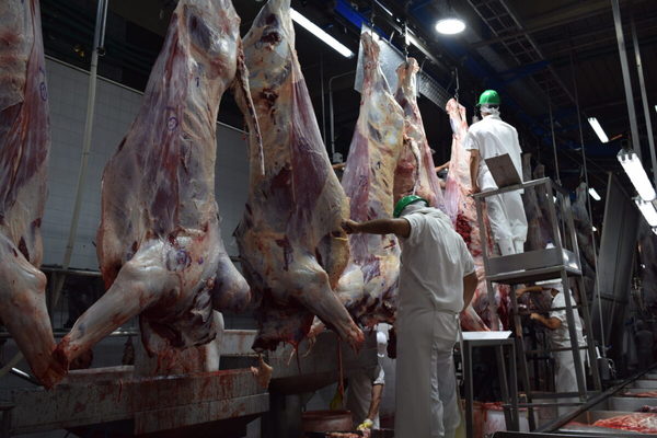 Paraguay suma 142.576 toneladas de carne bovina exportadas, un 45,8% más