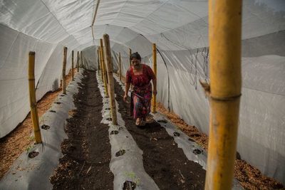 La tecnología, una clave para una agricultura más sustentable en Latinoamérica - MarketData