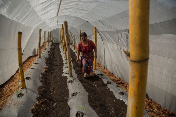 La tecnología, una clave para una agricultura más sustentable en Latinoamérica - MarketData