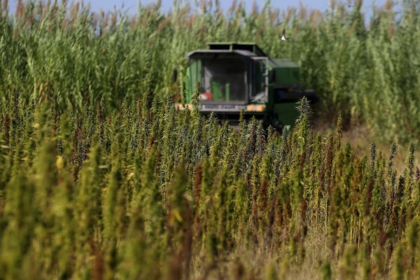 Ministro argentino pide compartir la innovación agropecuaria en América - MarketData