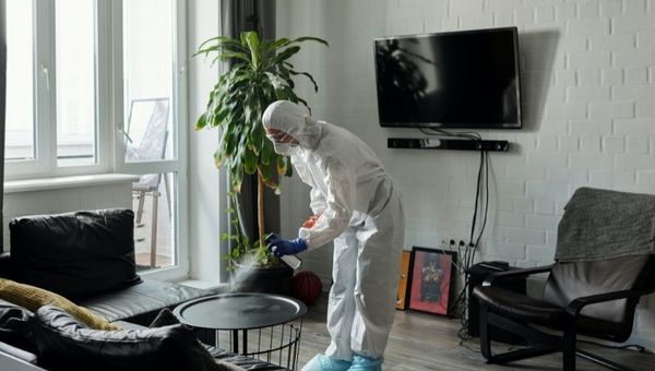Aumentó número de empresas de limpieza por la pandemia (pero la nuevas no duraron mucho)
