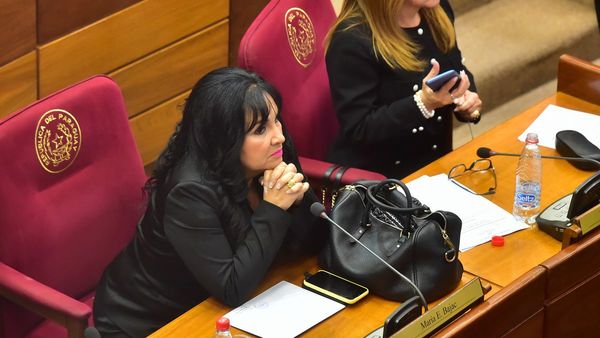 Ex senadora Bajac acciona ante la Corte Interamericana para recuperar su banca