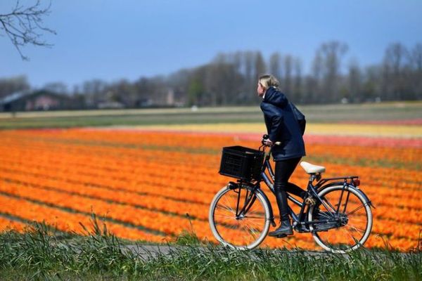 Día Mundial de la Bicicleta: por qué se celebra hoy y cuáles son los beneficios para la salud