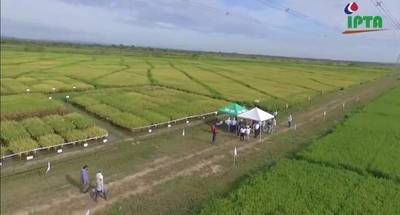 IICA e IPTA instalarán laboratorio para la investigación agropecuaria