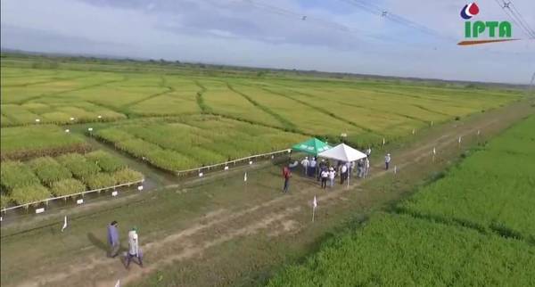 IICA e IPTA instalarán laboratorio para la investigación agropecuaria