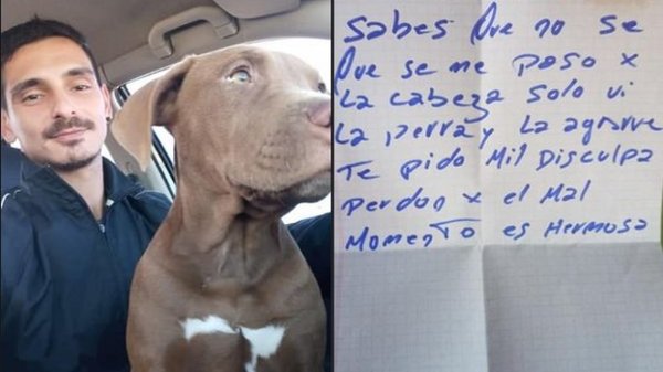 Robó una perra y la devolvió con una carta: “Perdón por el mal momento, es hermosa” | Noticias Paraguay