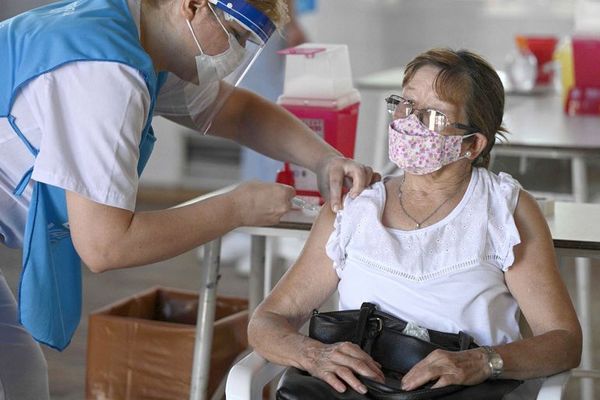 Comprar plantas: la nueva estrategia para vacunar a los padres - Soy un viral - ABC Color
