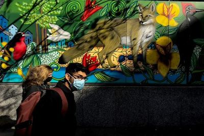 La pandemia sigue desatada en Chile tras cuatro meses de trepidante vacunación - Mundo - ABC Color