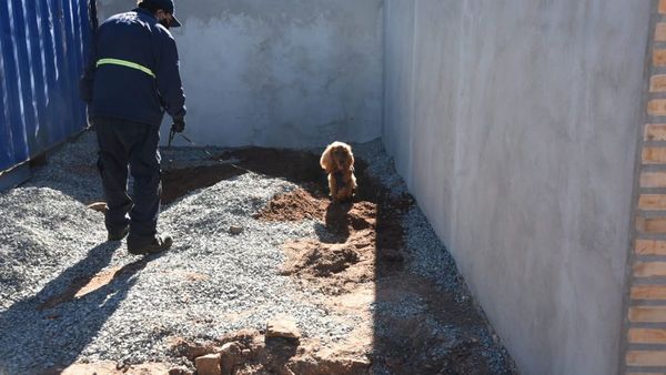 Madre y padrastro de niña desaparecida irán a juicio oral