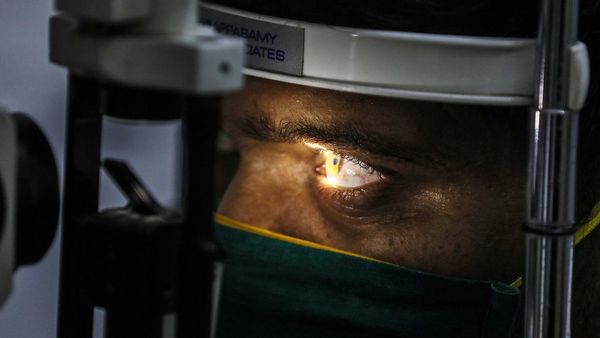 Alerta en Chile por la aparición del letal hongo negro
