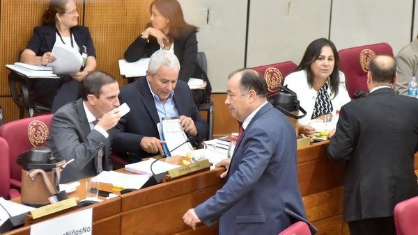 Hubo rotundo rechazo del Senado a blanqueo de tierras malhabidas