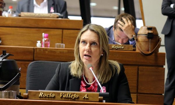 Diputada Rocío Vallejos dice que actuar de Zacarías Irún es preocupante