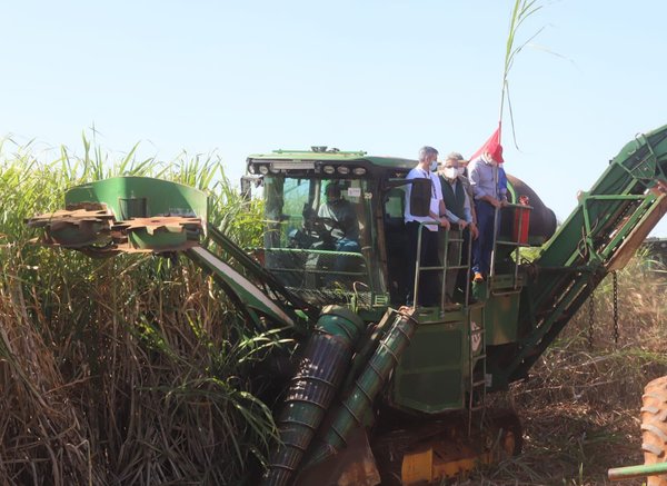 Con expectativas de mejorar la producción inicia cosecha de caña dulce en Caaguazú | .::Agencia IP::.