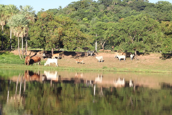 Para Paraguay es vital la recuperación de áreas verdes | El Independiente