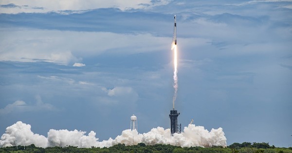 La Nación / Calamares viajan al espacio