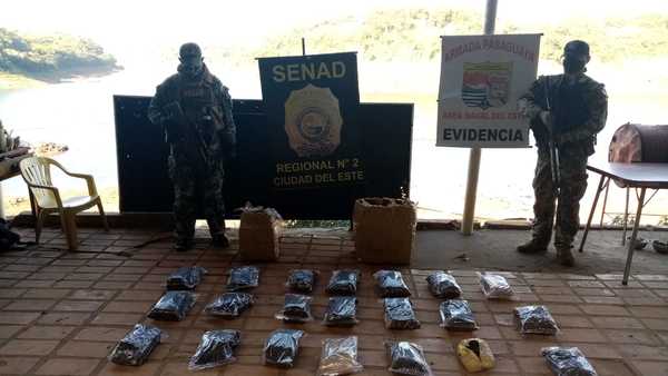 Decomisan marihuana picada en zona de Tres Fronteras