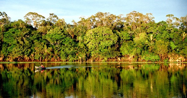 La Nación / Pacto Global y WWF-Py premiarán a empresas por sus iniciativas ambientales