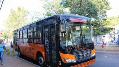 Micro ofrece pasaje gratis a abuelitos que deben ir a vacunarse