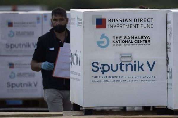 Vacunas rusas: cuántas dosis de Sputnik V llegarán desde Argentina - Nacionales - ABC Color