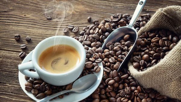 Beneficios y cuidados del consumo diario del café